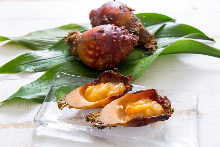 管理栄養士監修 ホヤ の主な栄養素とカロリーまとめ おすすめな調理方法は サンキュ