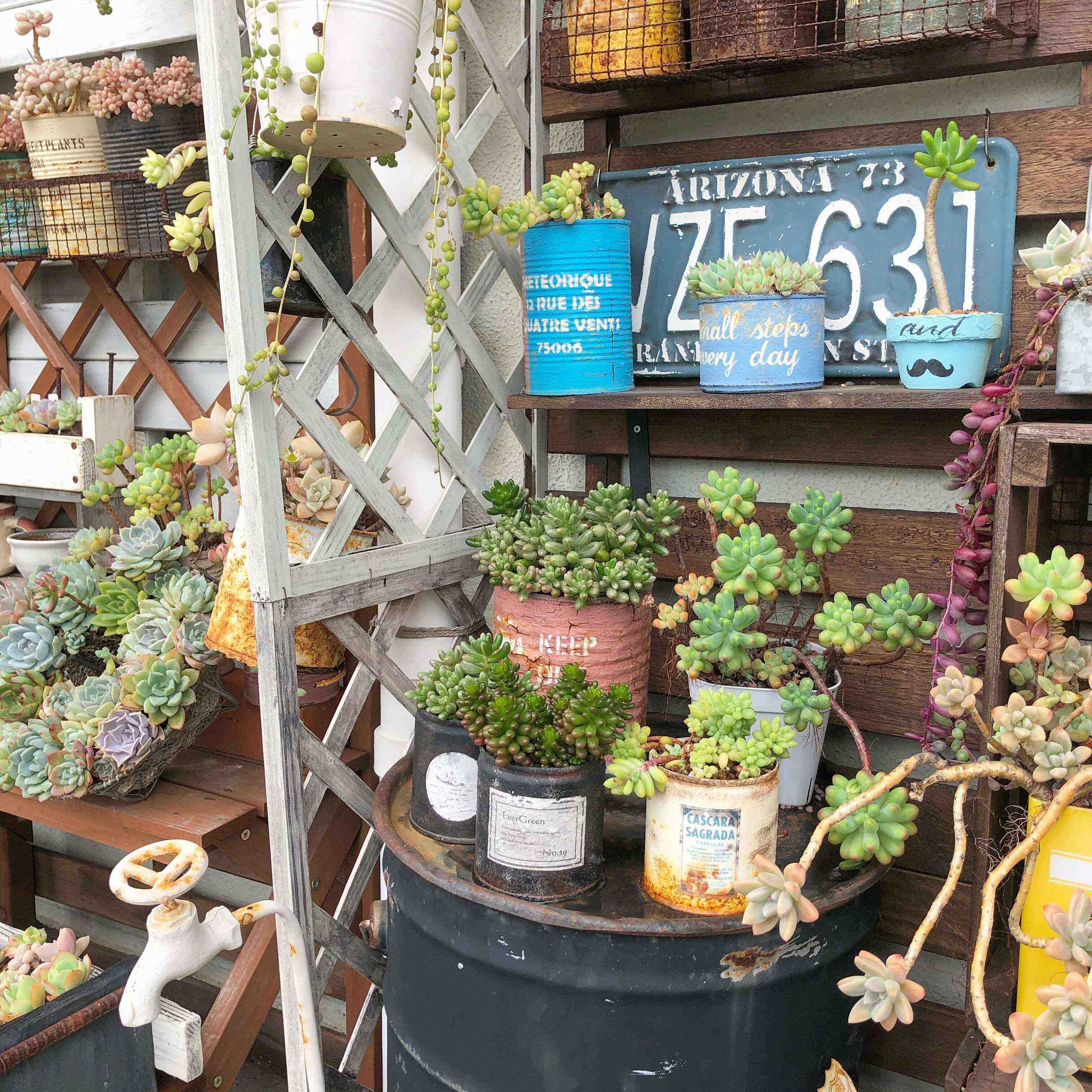 転勤族　ガーデニング　やめたこと