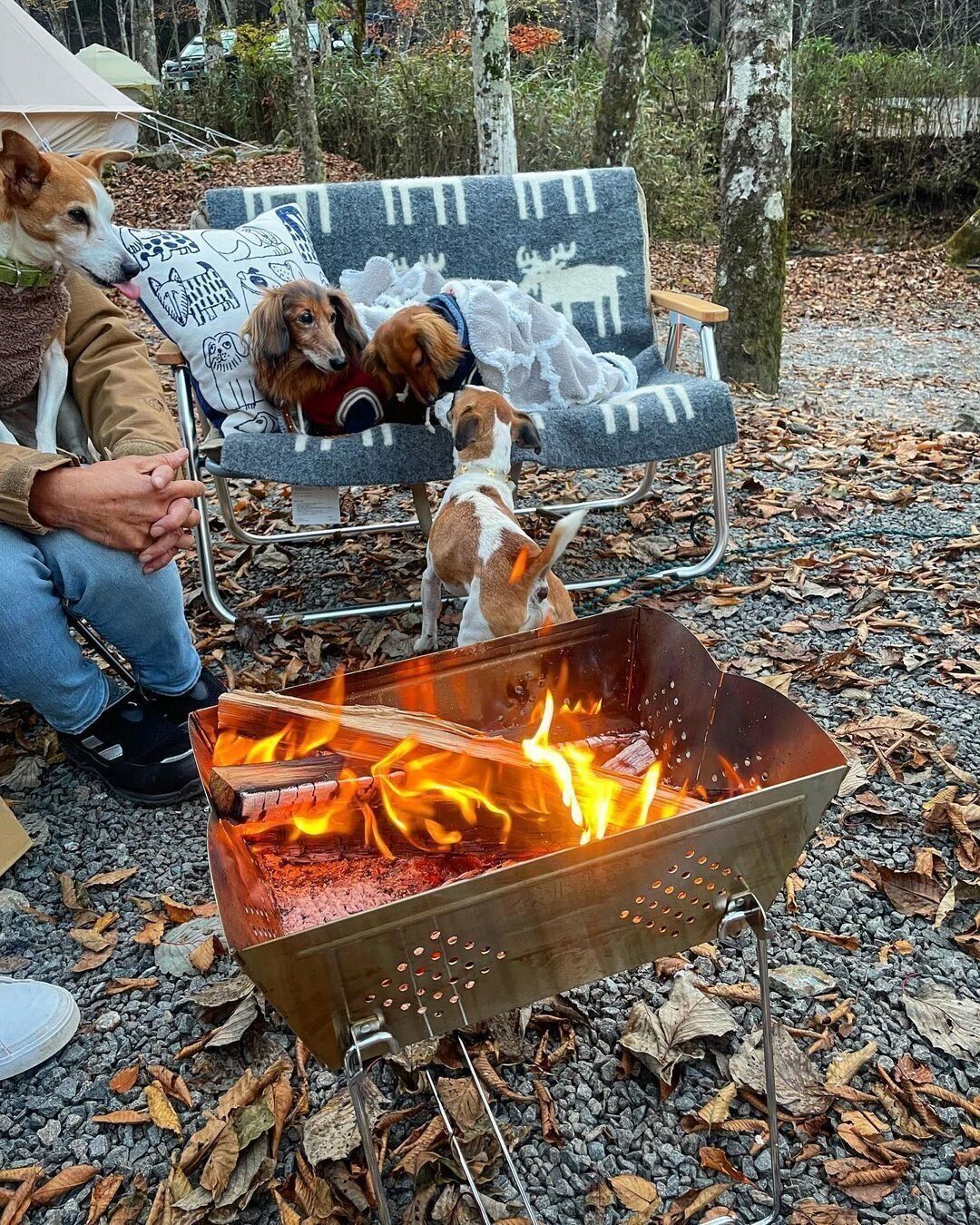 【ワークマン】チェアと組み合わせて使うのもオススメ「ワイドフォールディングスクエアグリル」