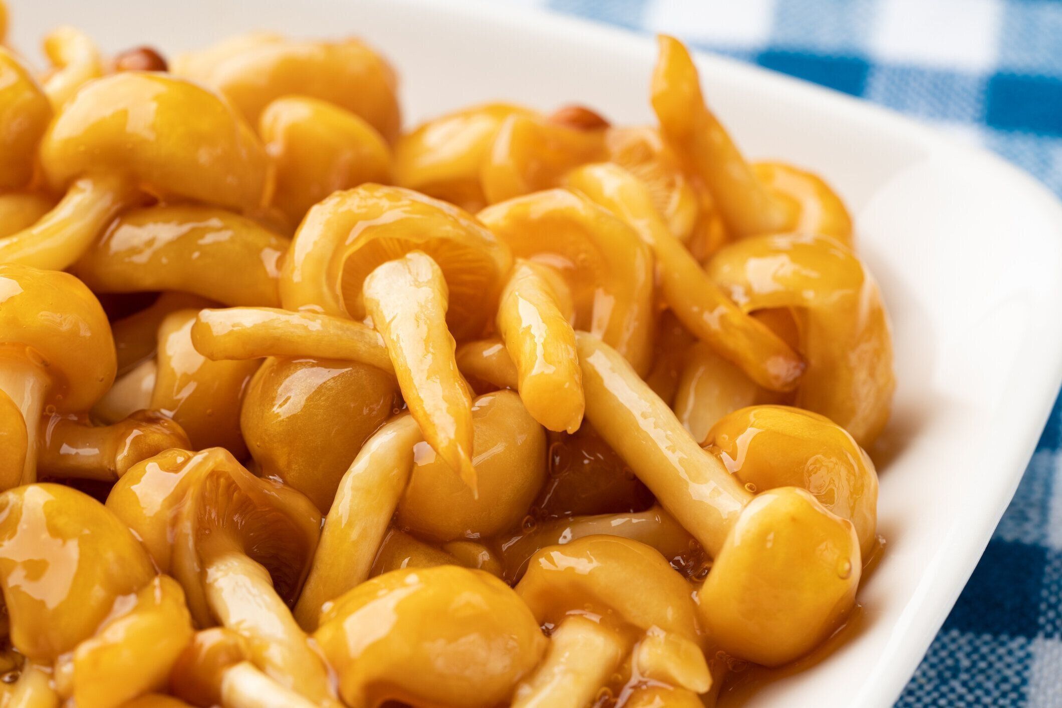 フォリオタ・ナメーコ