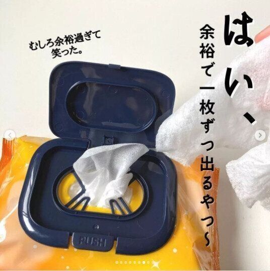 【ダイソー】ウエットシートが取り出しやすい！