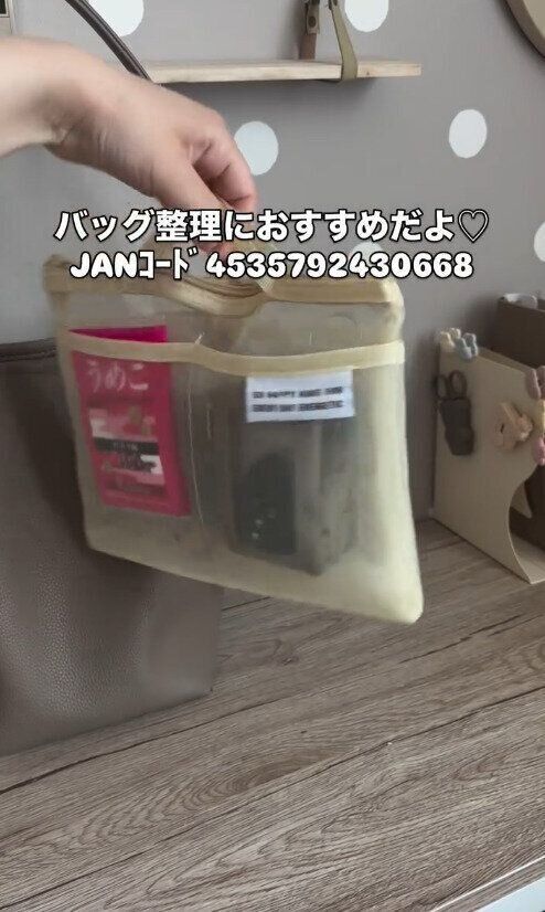 想像以上によかった…！「バッグインバッグ」