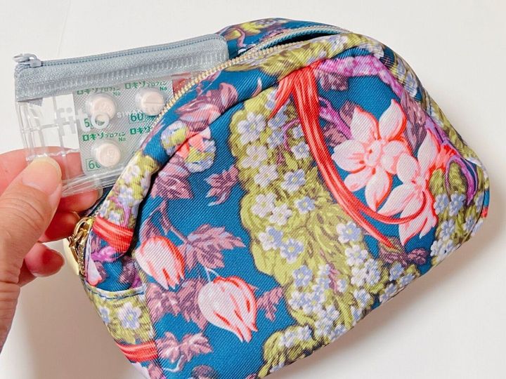 ダイソーの文具小物ケースは「ポーチを整理するためのポーチ」として活躍!