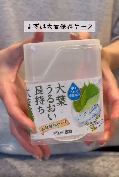 【セリア】買って損なし！大葉保存ケース