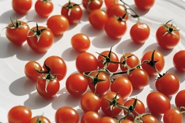 ミニトマト