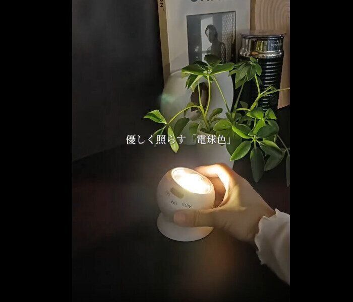 【ダイソー】コスパよすぎ！センサーライトボールタイプ