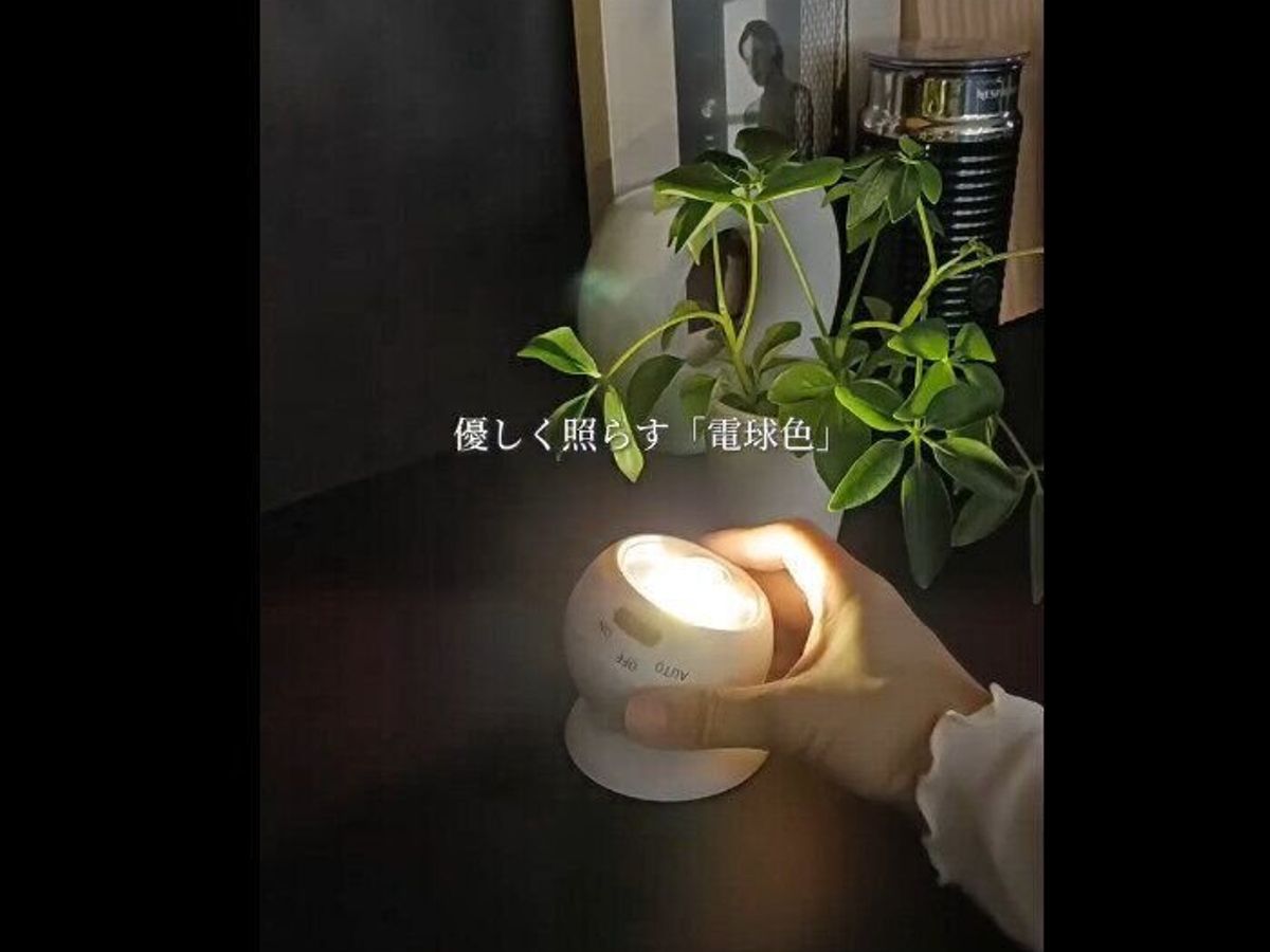 【ダイソー】コスパよすぎ!センサーライトボールタイプ
