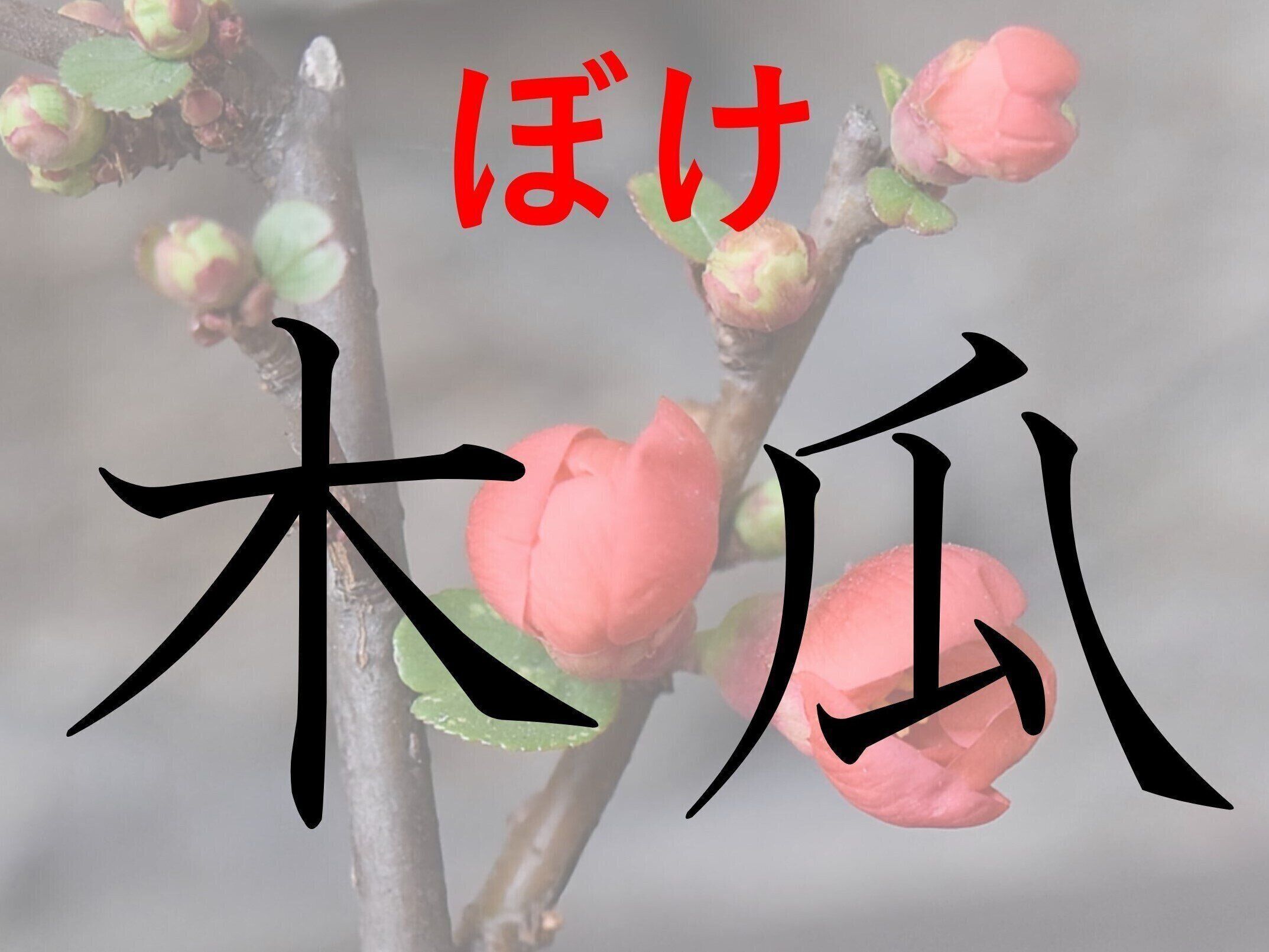 食べることもできるなんて！難読漢字「木瓜」はなんて読む？