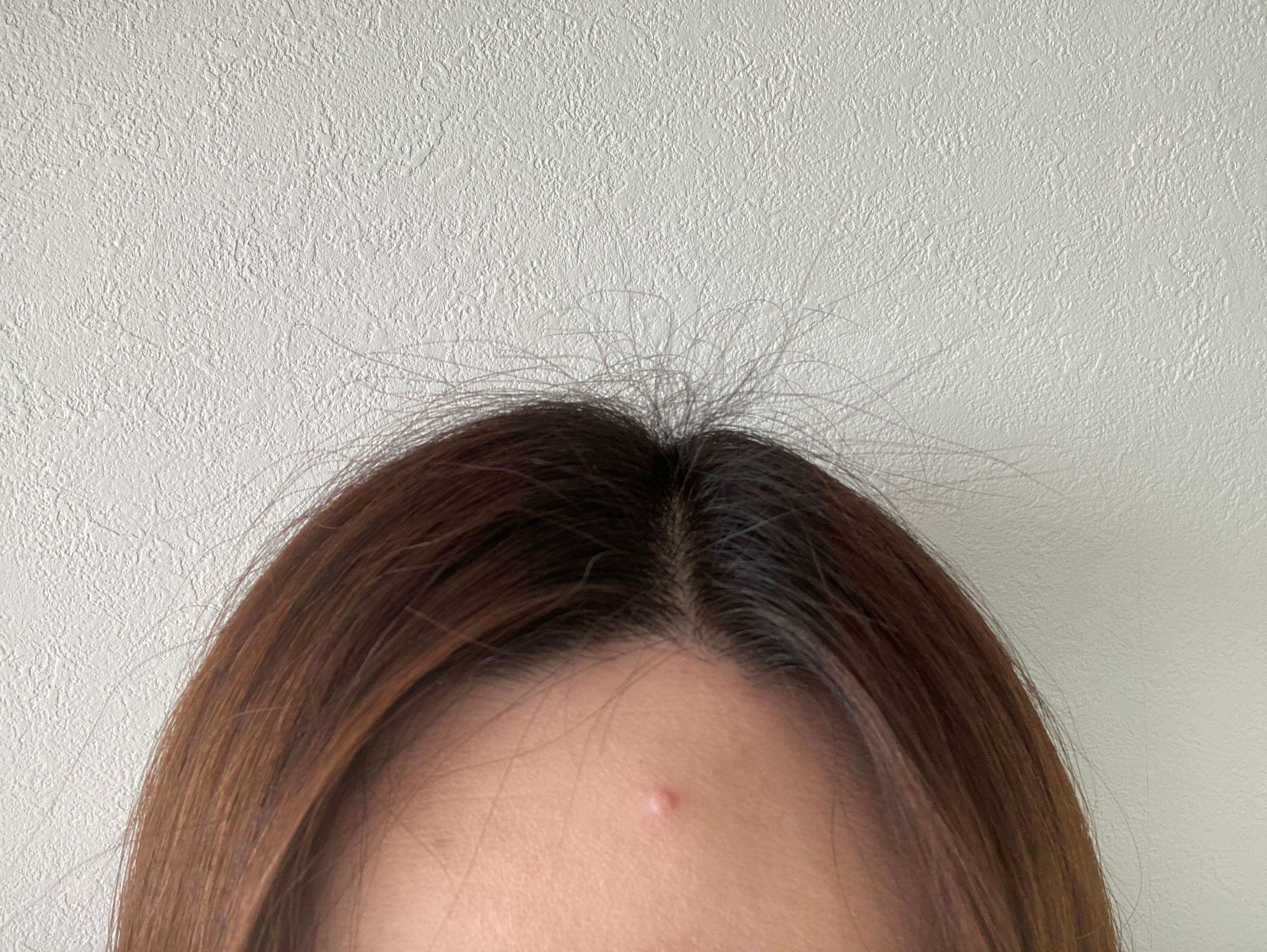 ボサボサのアホ毛