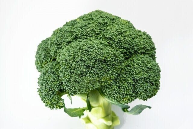 ブロッコリー