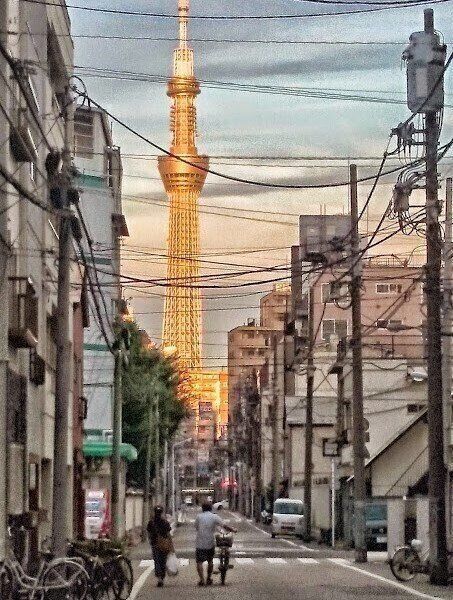 歩くことは健康維持のためには必要だけど夏は暑すぎて散歩どころじゃないんだけど、どうすればいい？「散歩ガイド」が教える真夏の外出のコツ
