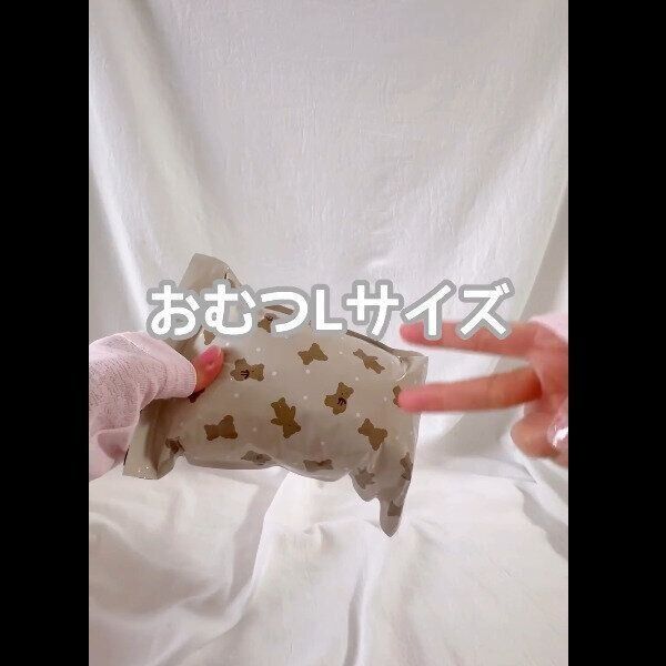 【セリア】外出先で役立つ！サニタリーバッグ