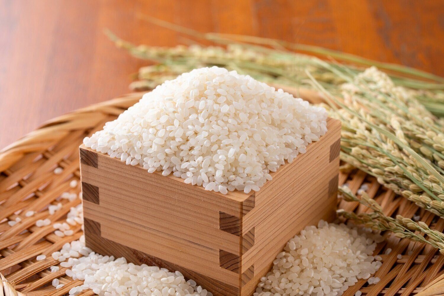 お金持ちはみんな買っていた！秋の「実り財布」の特徴は？何色がいい？ 【Dr.コパの風水解説】