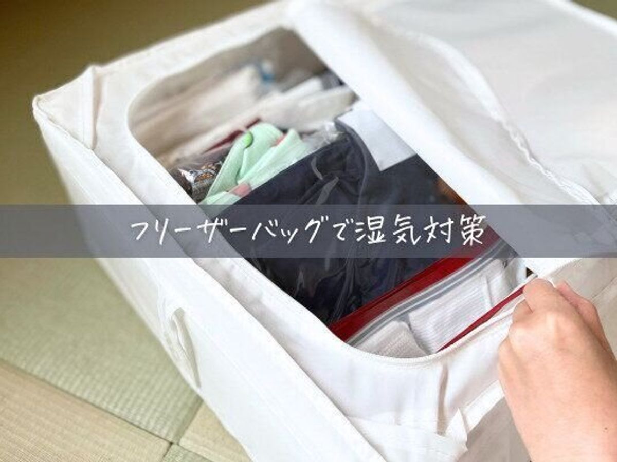 フリーザーバックの活用例