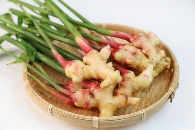 生姜　薬膳