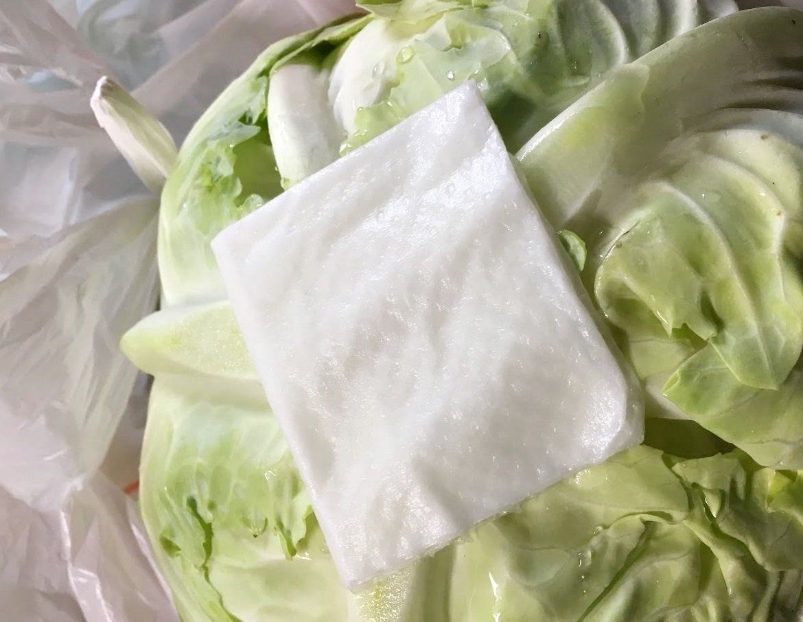 1玉買っても大丈夫 キャベツをシナシナさせずに長持ちさせる超簡単な保存方法 サンキュ