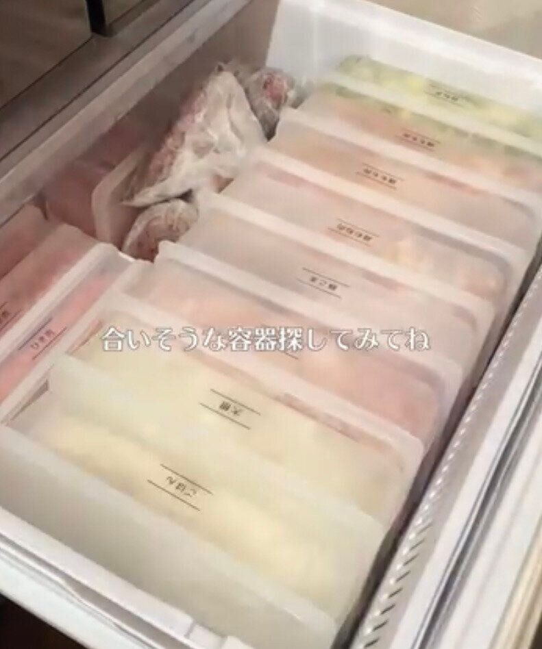 冷凍庫が整う！「立てて置ける保存容器」