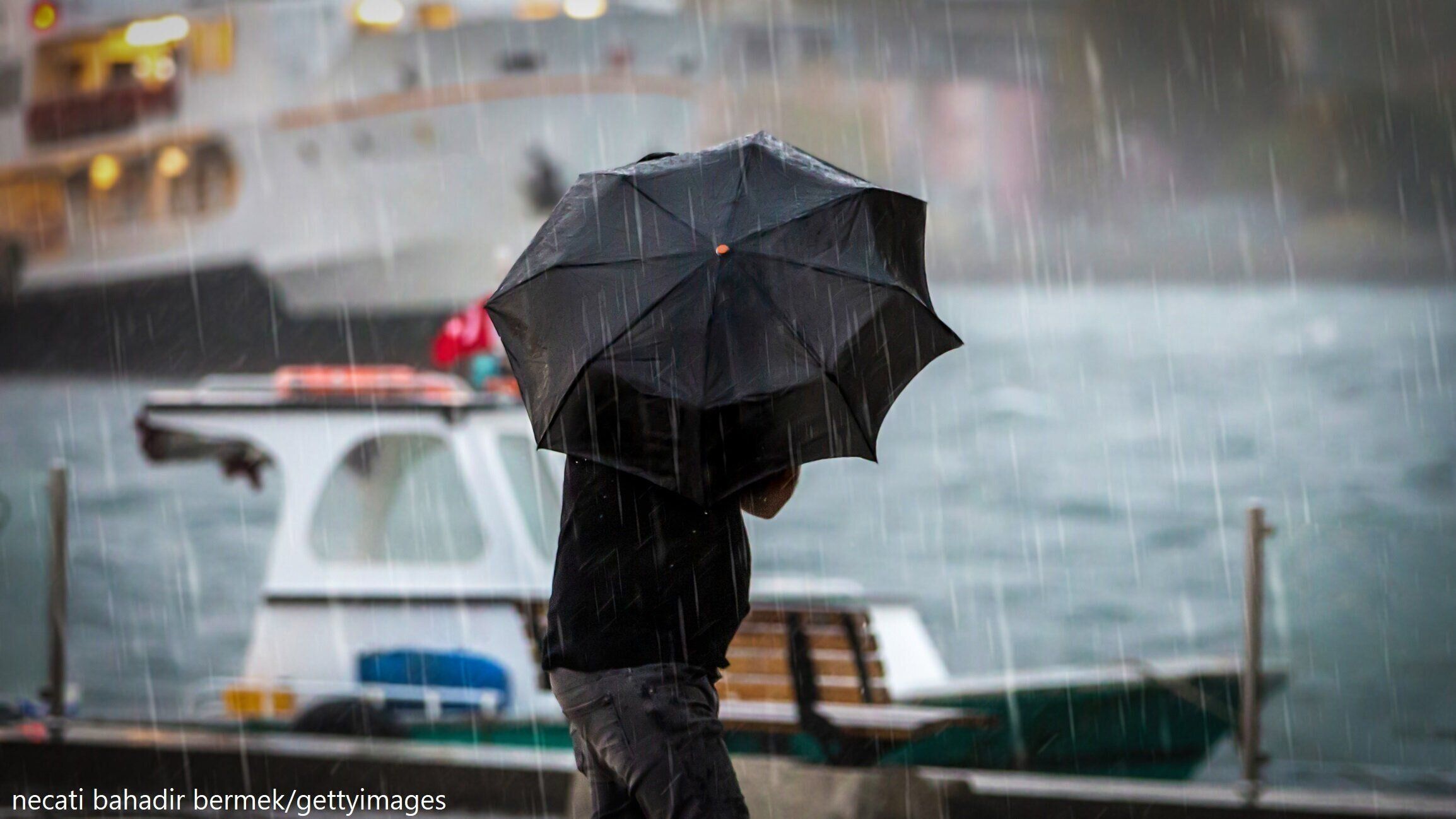 傘を差して港を歩く人