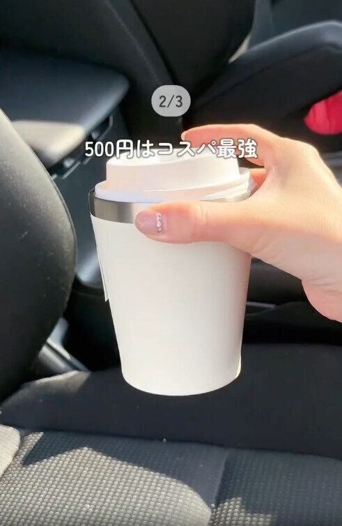 【ダイソー】たったの550円でコスパも最強