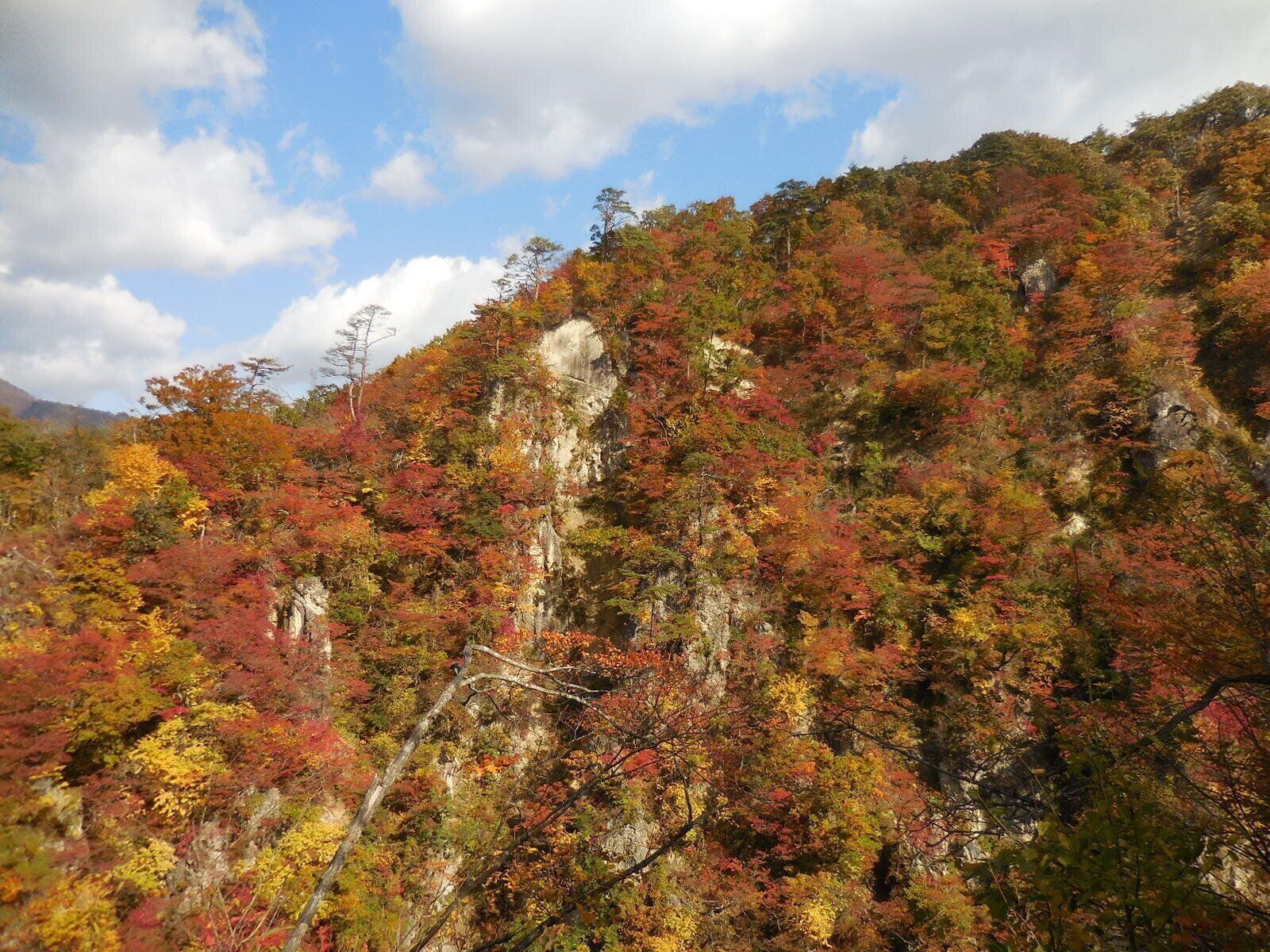 宮城県の鳴子峡の紅葉
