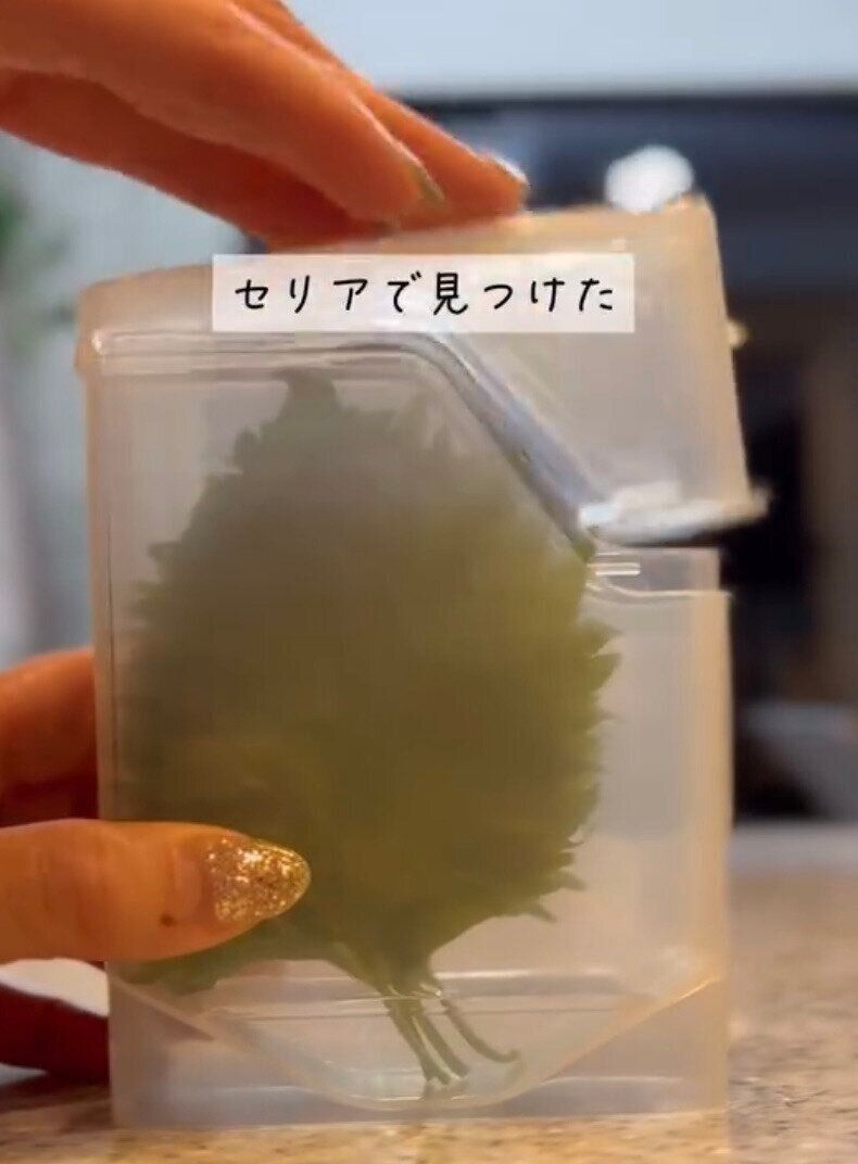 大葉の保存に！「大葉保存ケース」