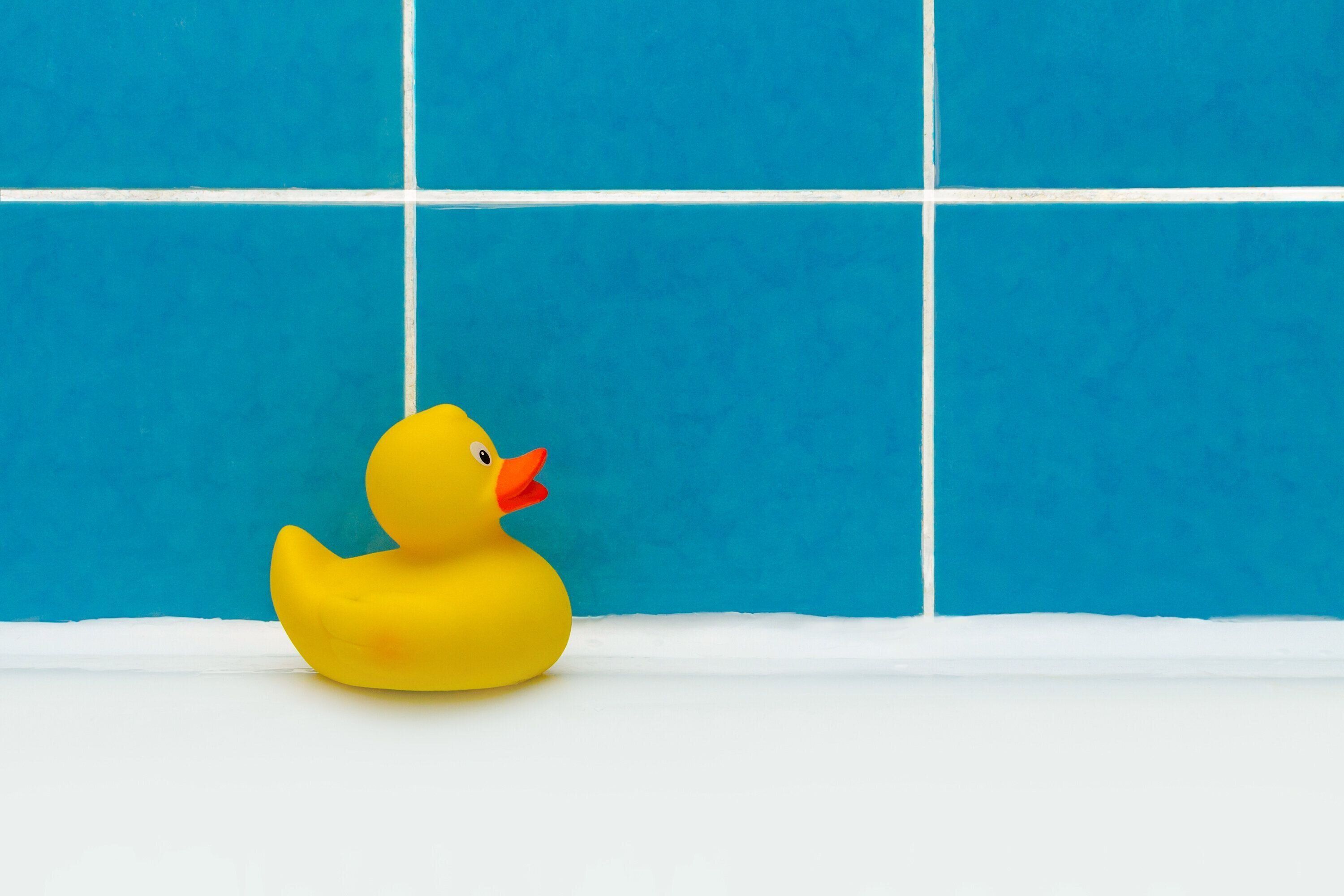 修理クローズ アップ後清潔なバスルームのアヒルのグッズ