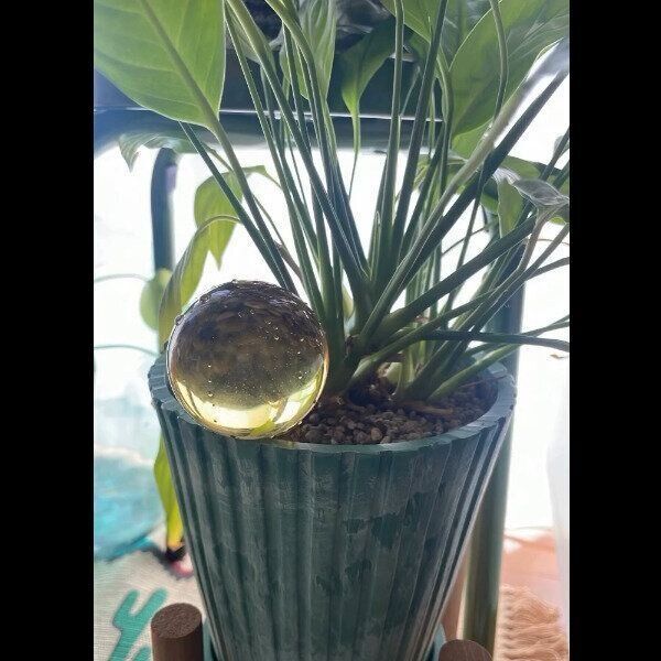 【3COINS】差し込むだけで優勝！ウォーターディスペンサー