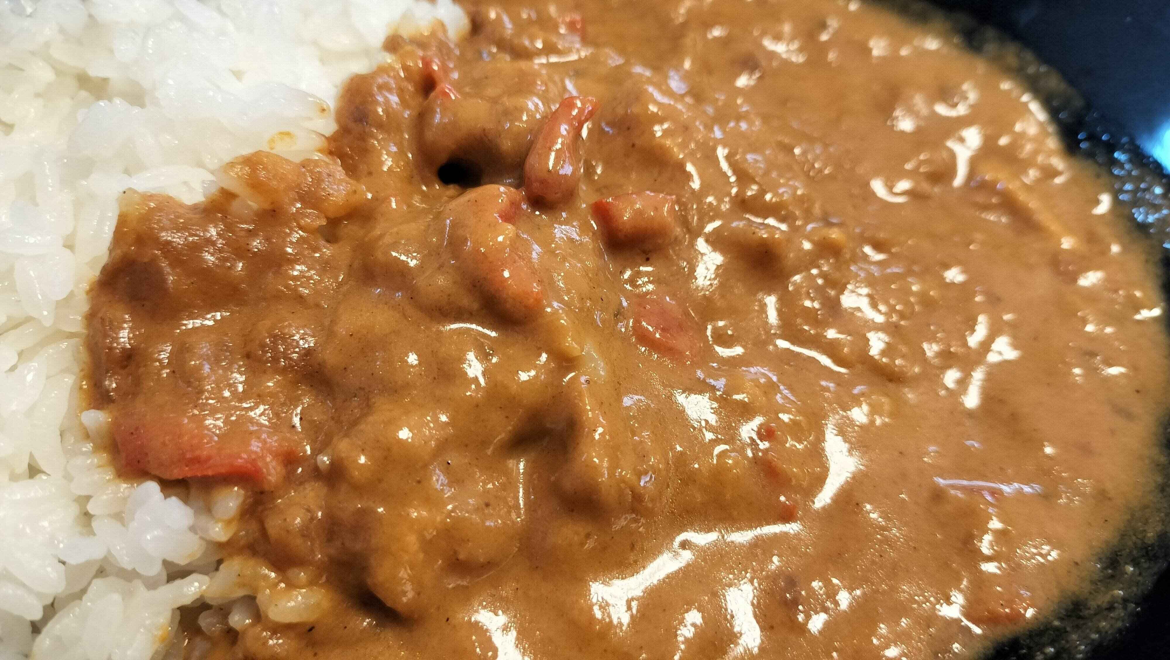 チキンドピアザ