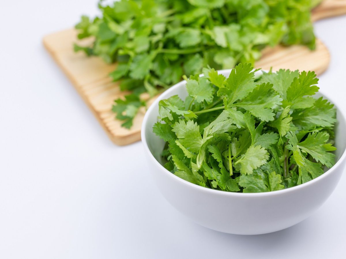 「パクチー」の冷凍方法は?上手な保存のコツやおいしい活用レシピを紹介