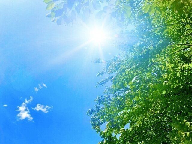 初心者がやりがちな夏の「うっかりミス」