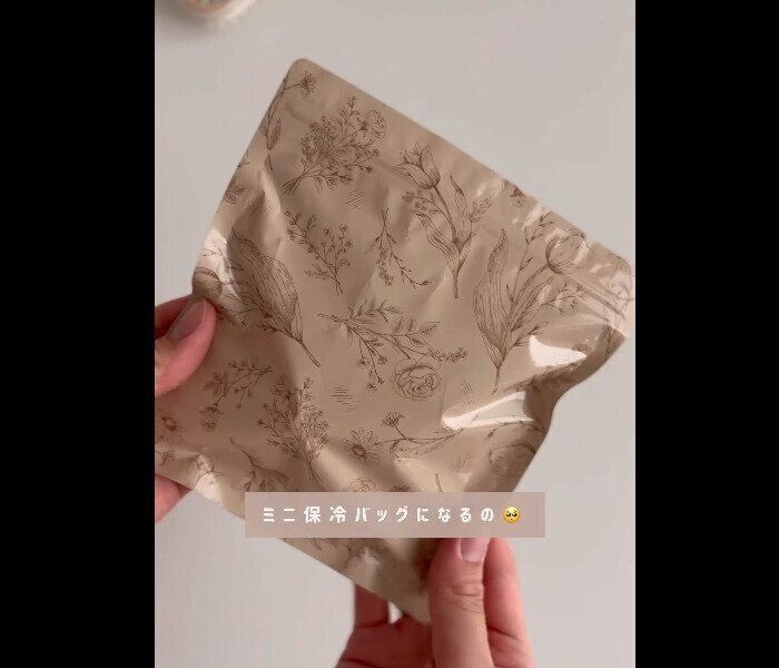 【セリア】ミニ保冷バッグになる!?サニタリーバッグ