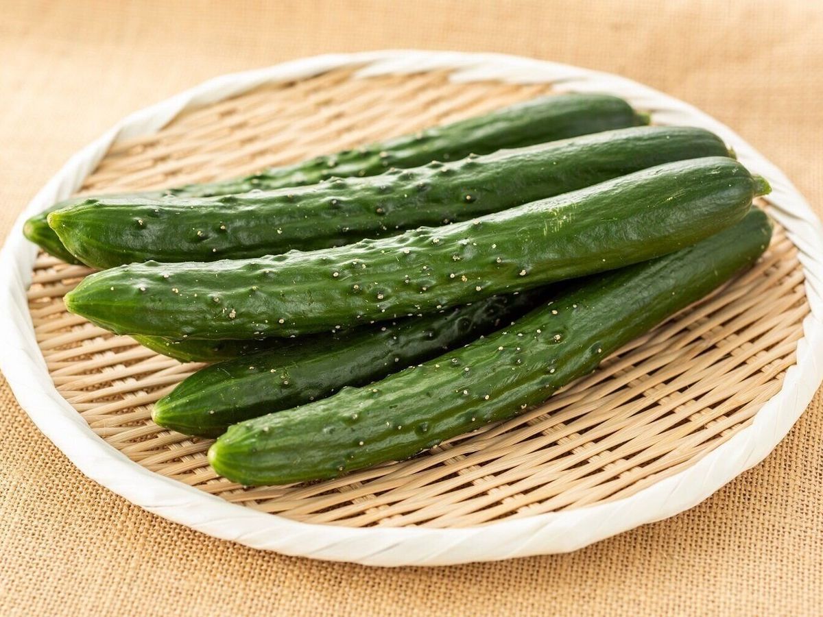 あなたも間違えているかも!?やってはいけないきゅうりの保存方法