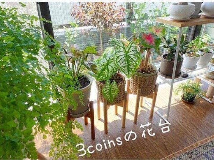 3coins こんな生活がしたかった スリコで簡単 あこがれのライフスタイルも思いのまま サンキュ 3coins こんな生活がしたかった スリコで簡単 あこがれのライフスタイルも思いのまま サンキュ