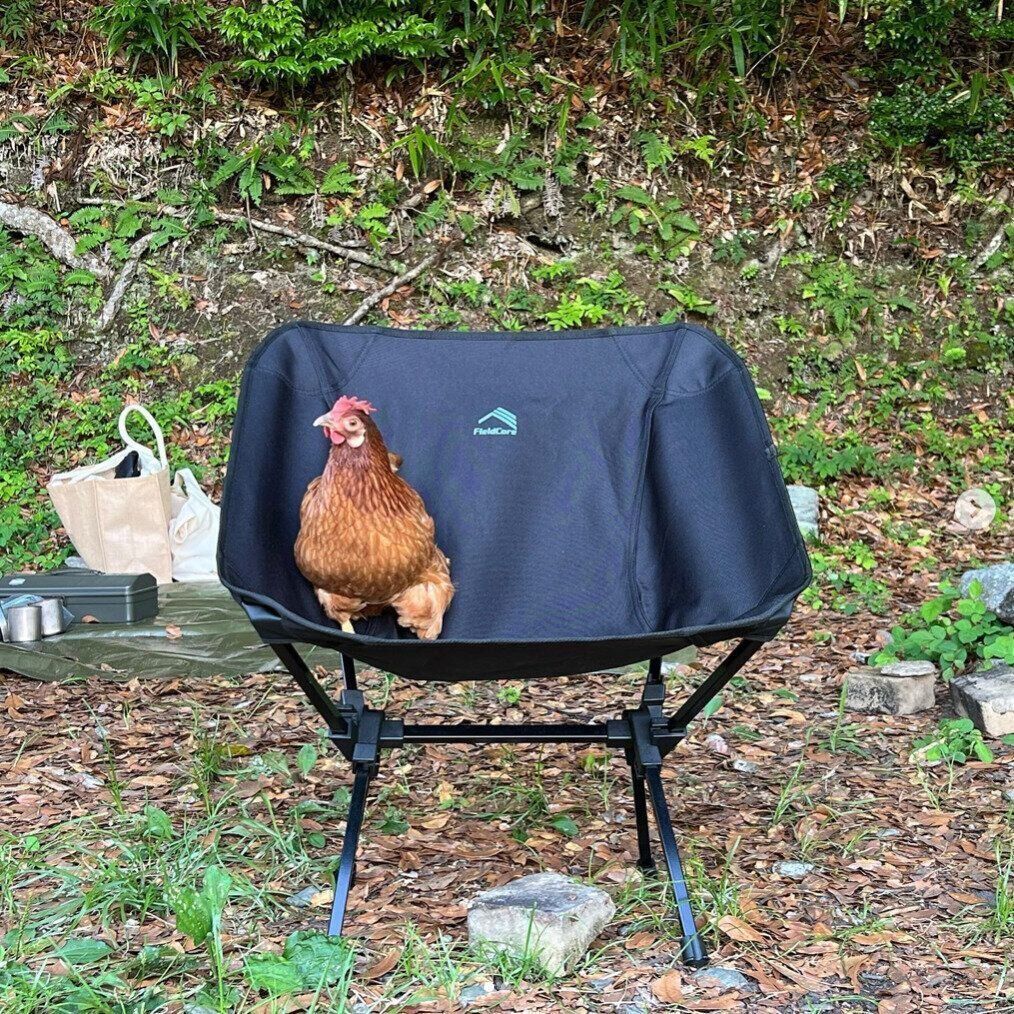 ワークマンの大定番売れ筋商品！「アルミ燃え広がりにくいローチェア」