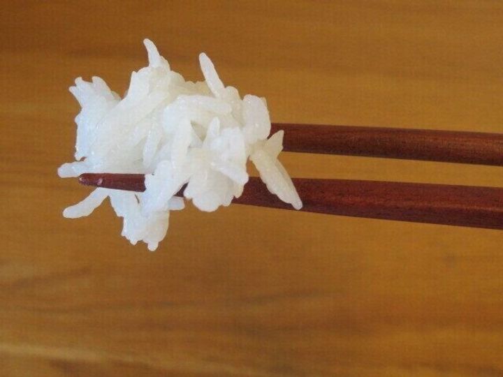 ご飯の様子