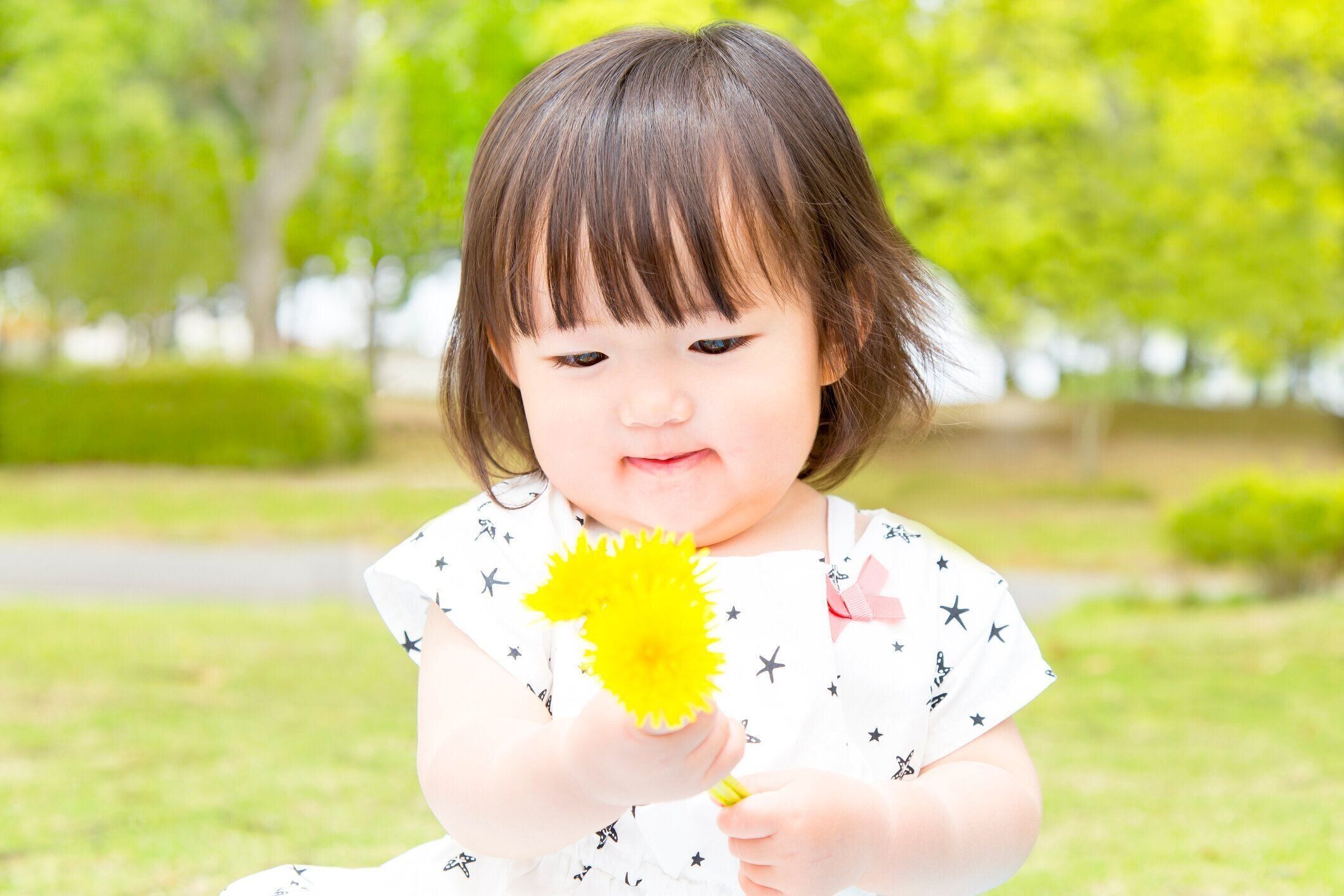 タンポポの花束を持つ小さな女の子