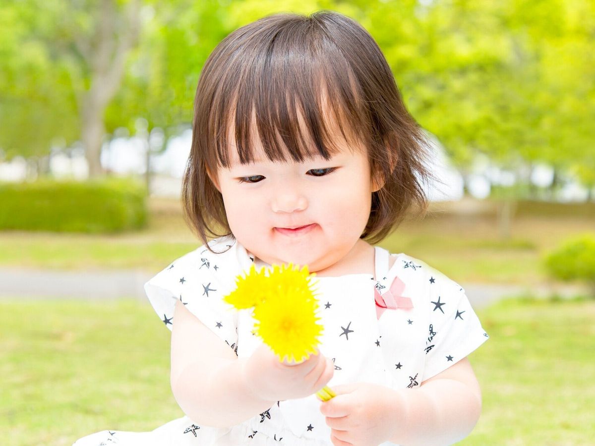 タンポポの花束を持つ小さな女の子