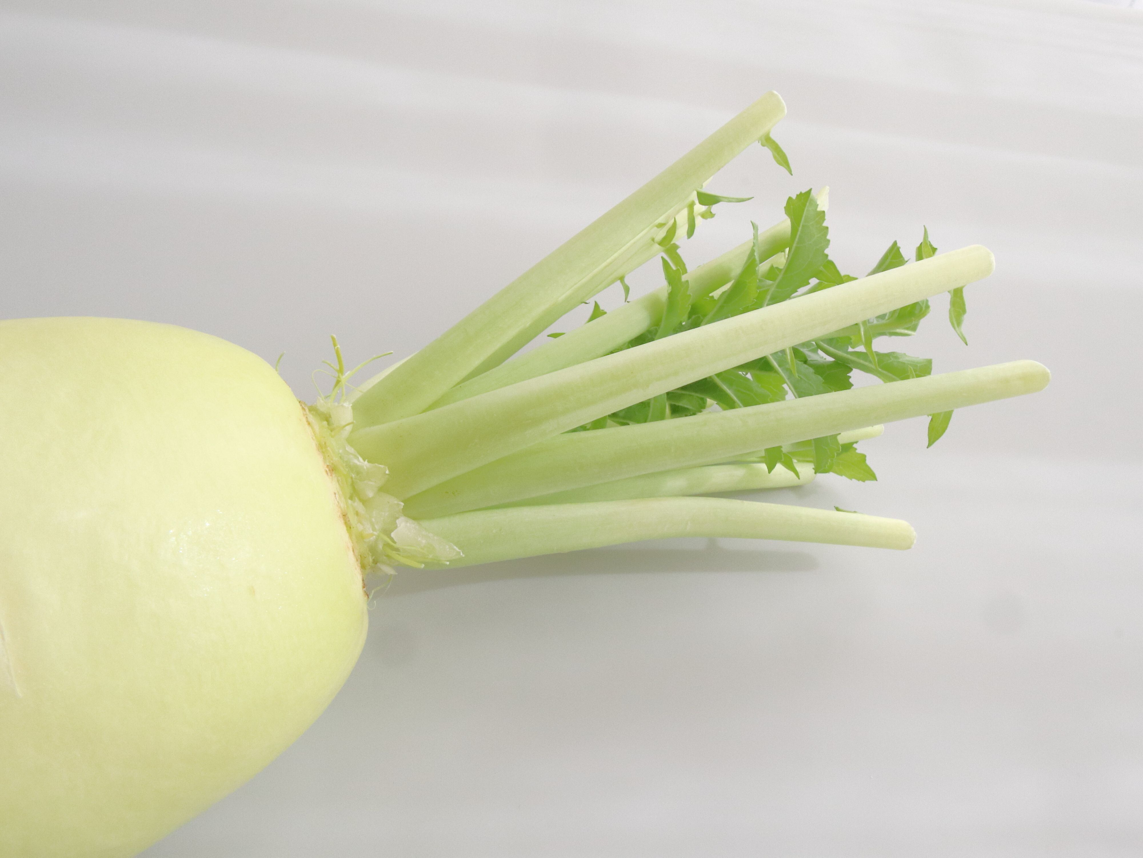 葉がみずみずしいもの