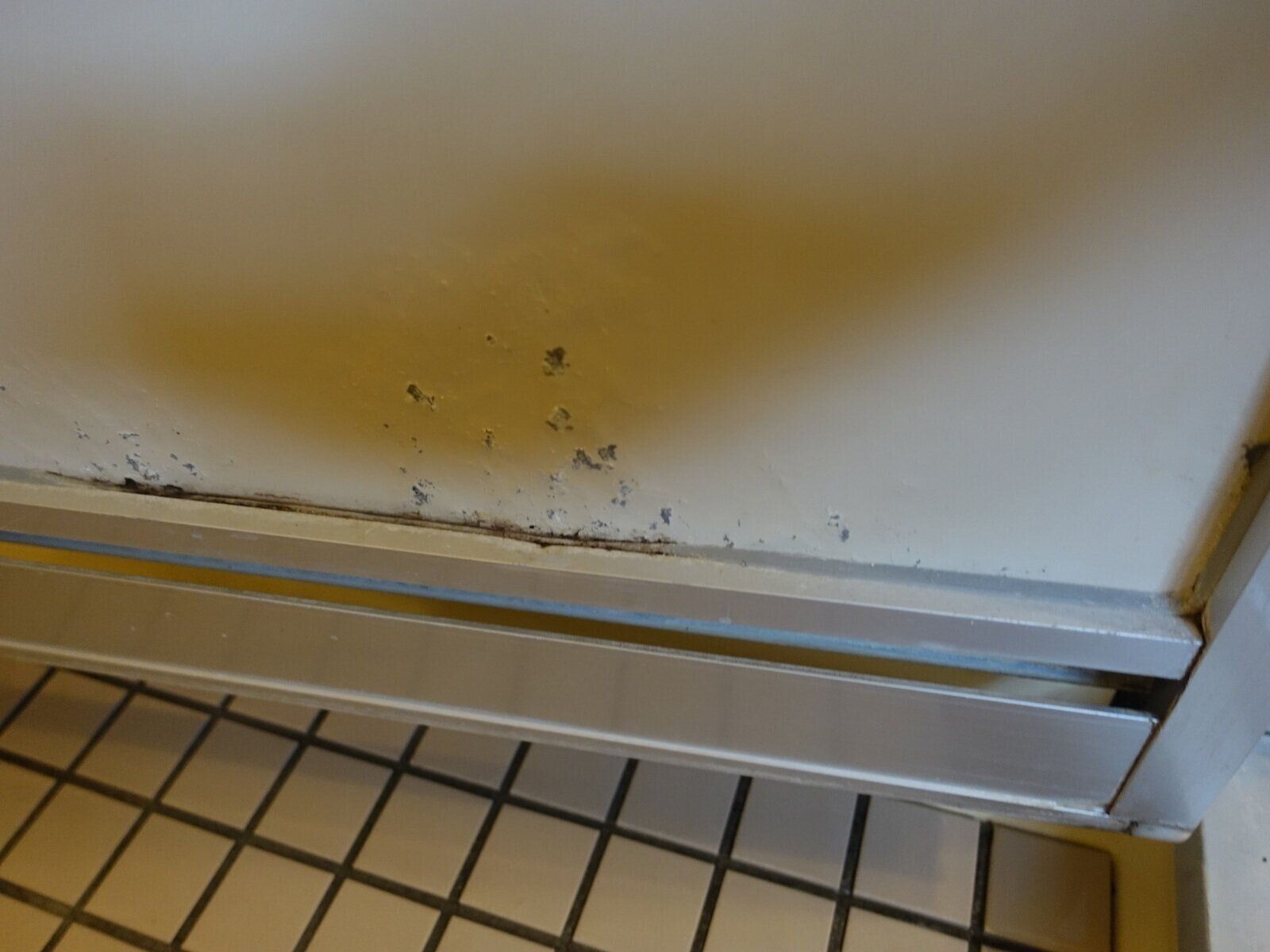 バスルームの石化した汚れ