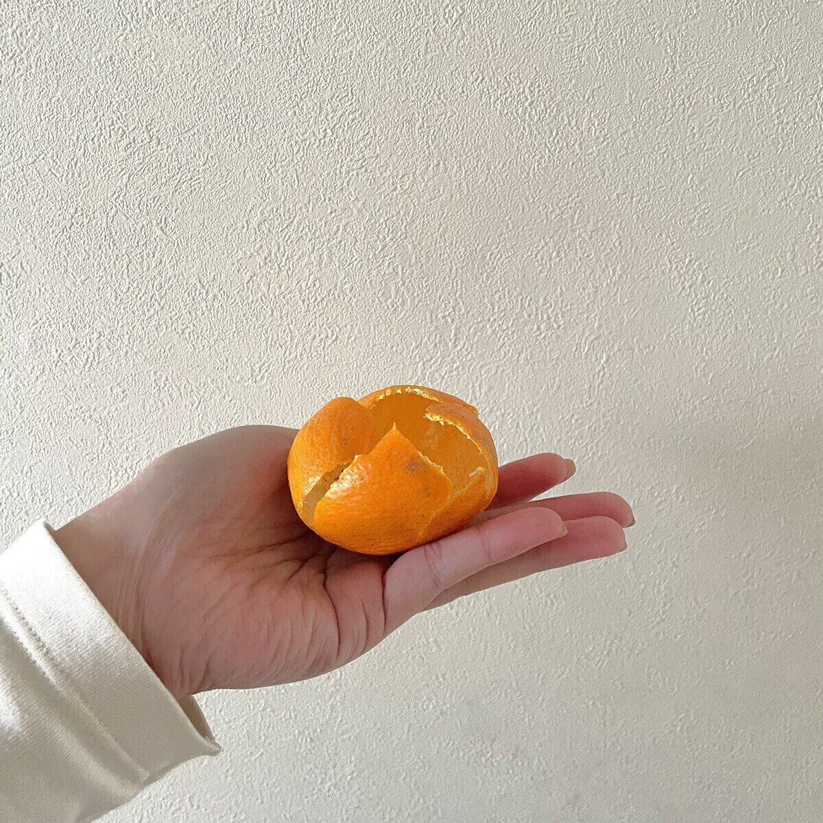 みかんの皮