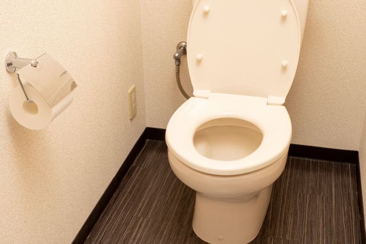 日本の家のトイレ