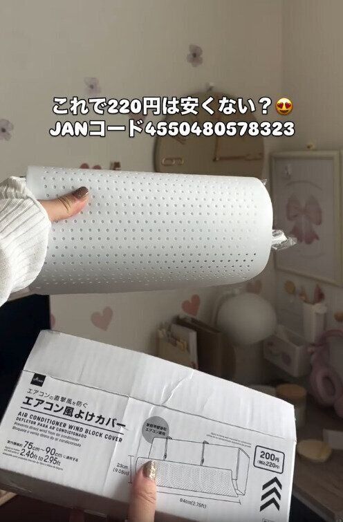 【ダイソー】冷気を優しくカットする神アイテム