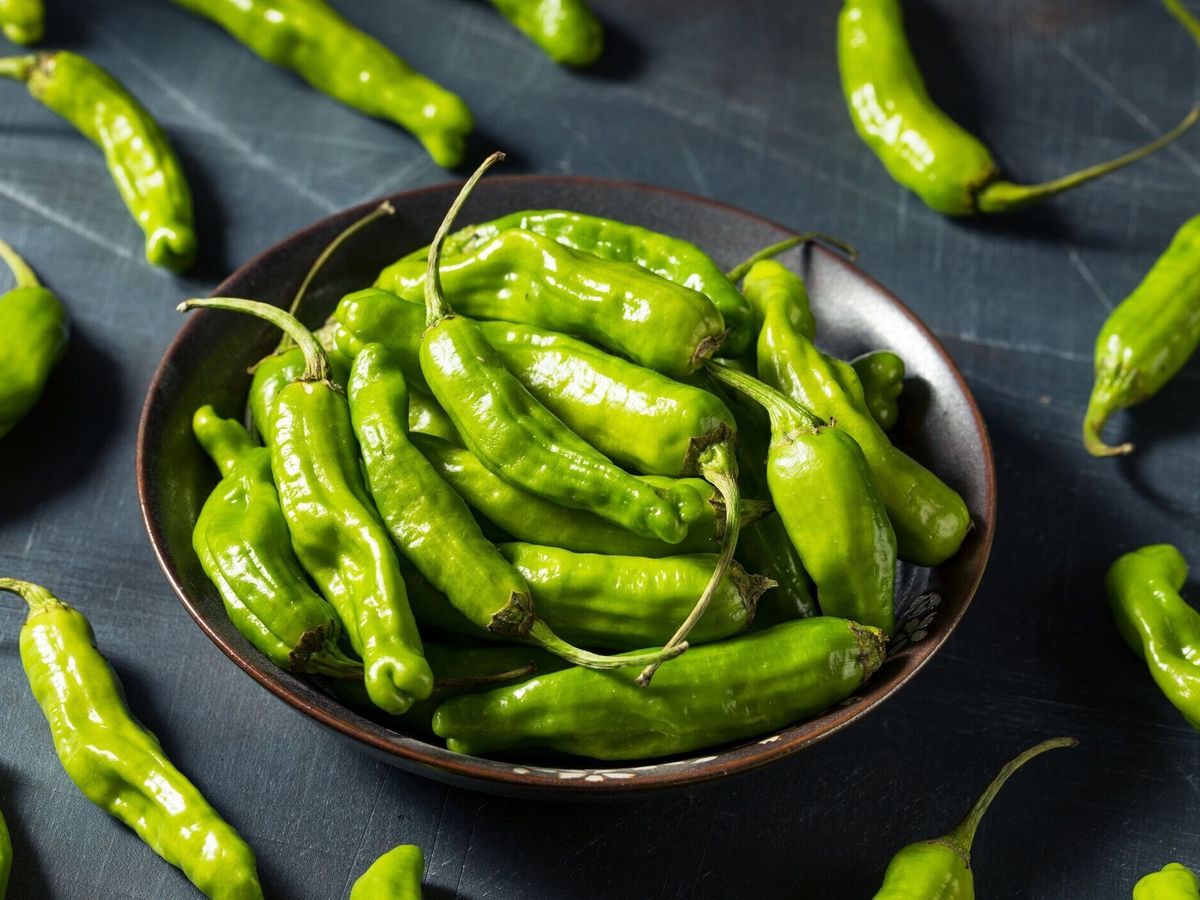 生グリーンオーガニックシャシトウペッパー