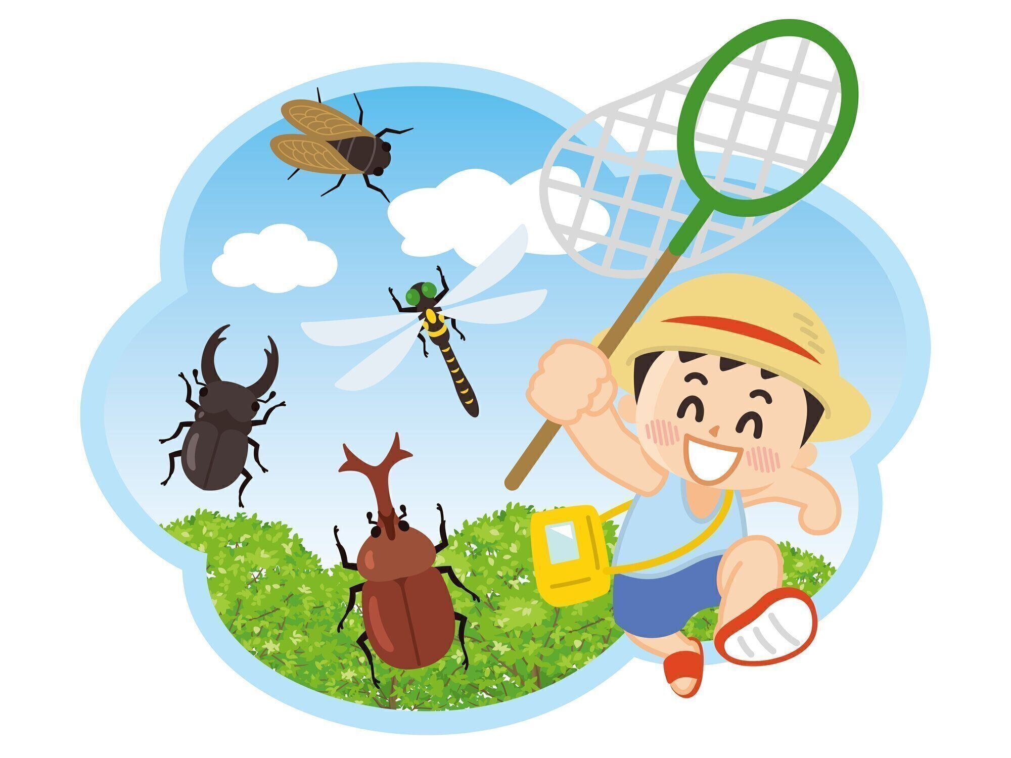 夏休みに虫を集める少年