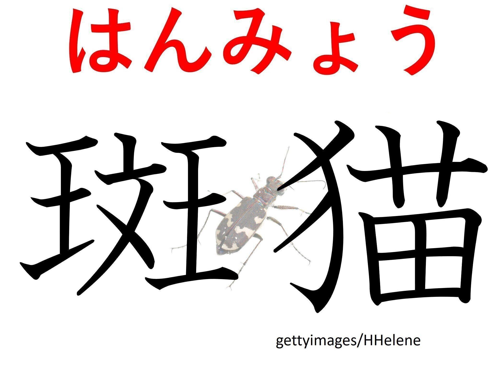 「ぶちねこ」とも読めるけど、違う読み方もあります…難読漢字「斑猫」はなんて読む？