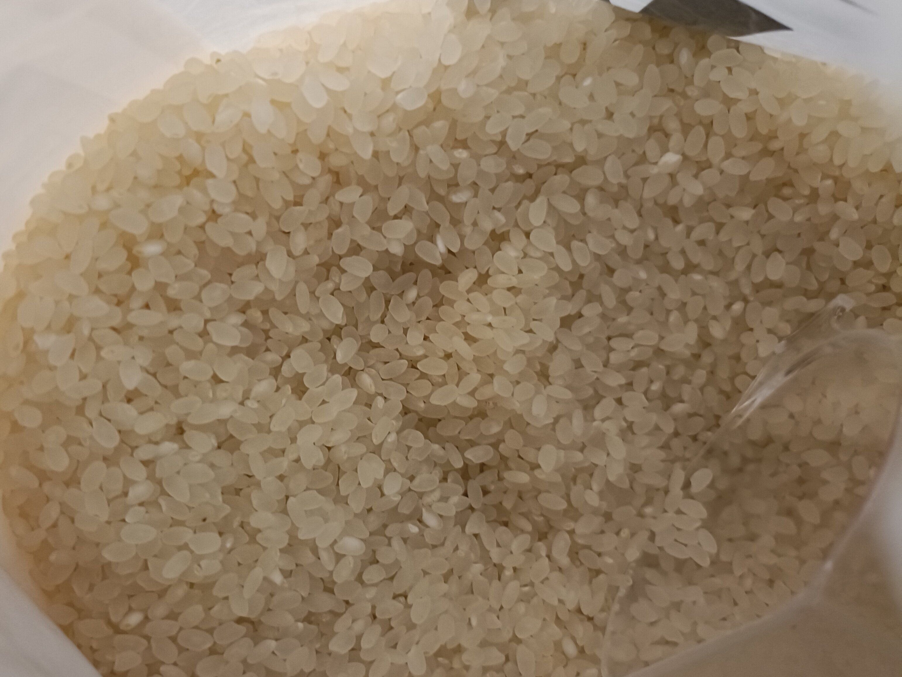 炊く前のお米