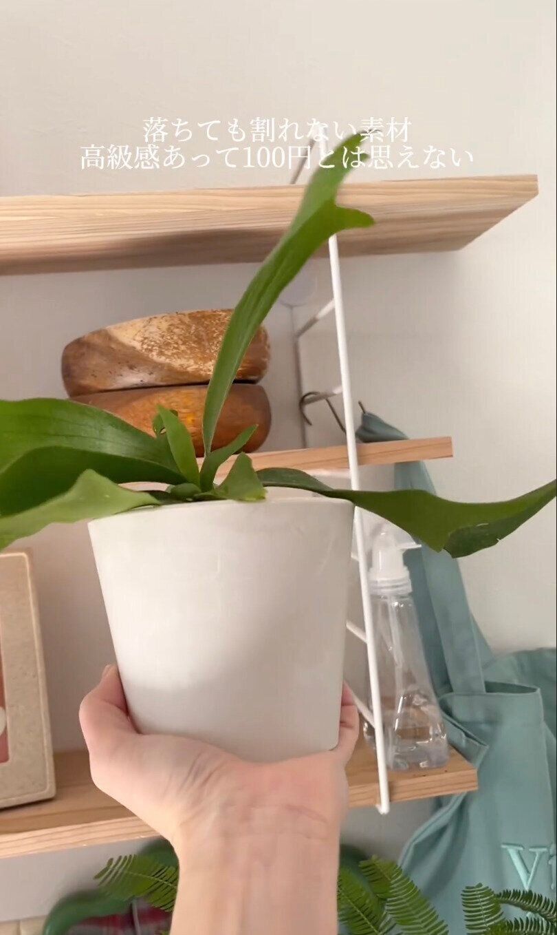 100円とは思えない！大人気アイテム「ストーン風プランター」