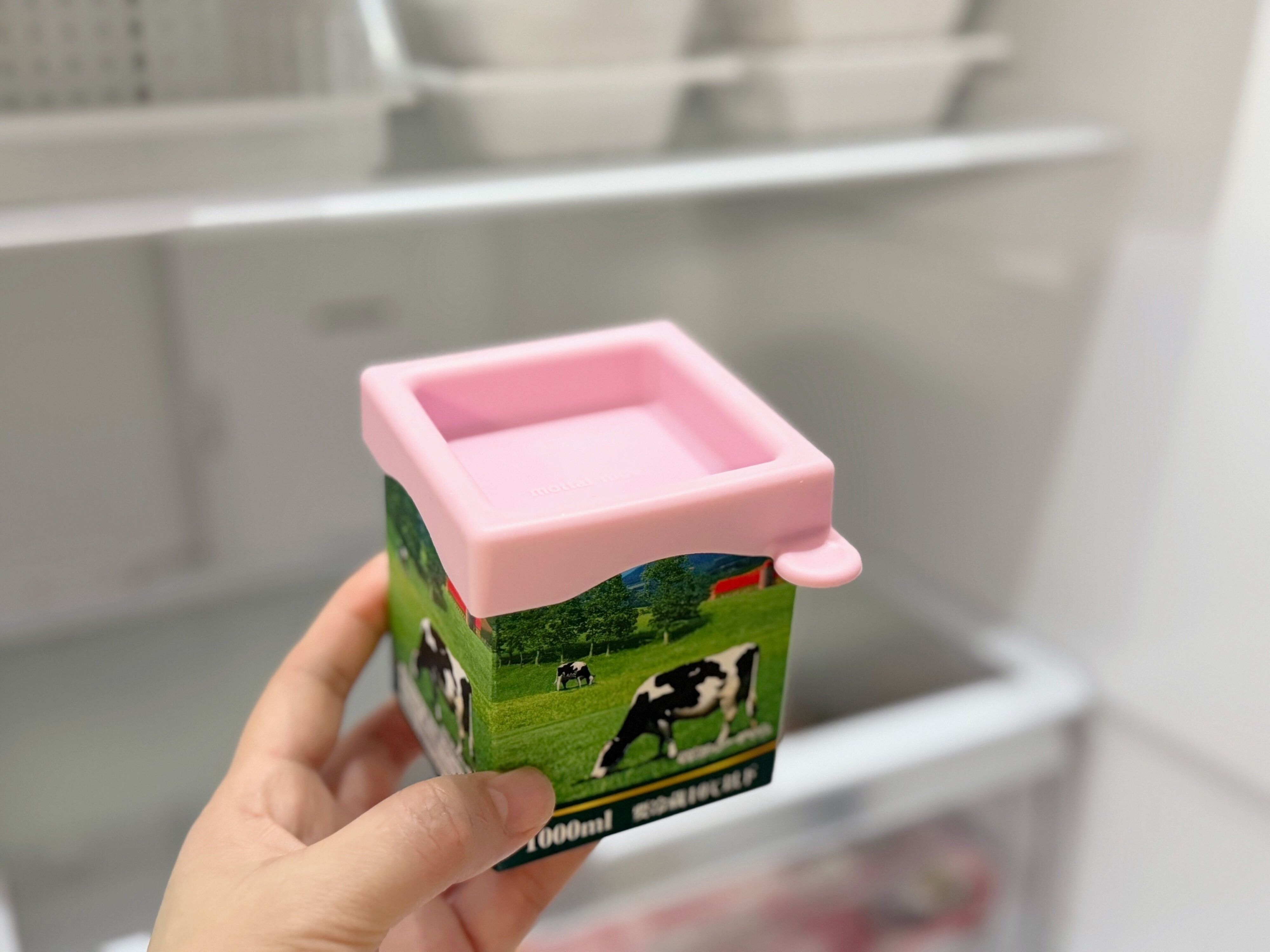 牛乳パックは「保存容器」として使える！