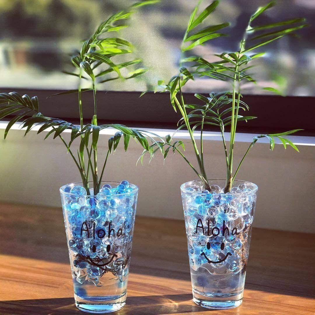 【ダイソー】本来の使いかた以外にも！グラスタンブラー活用