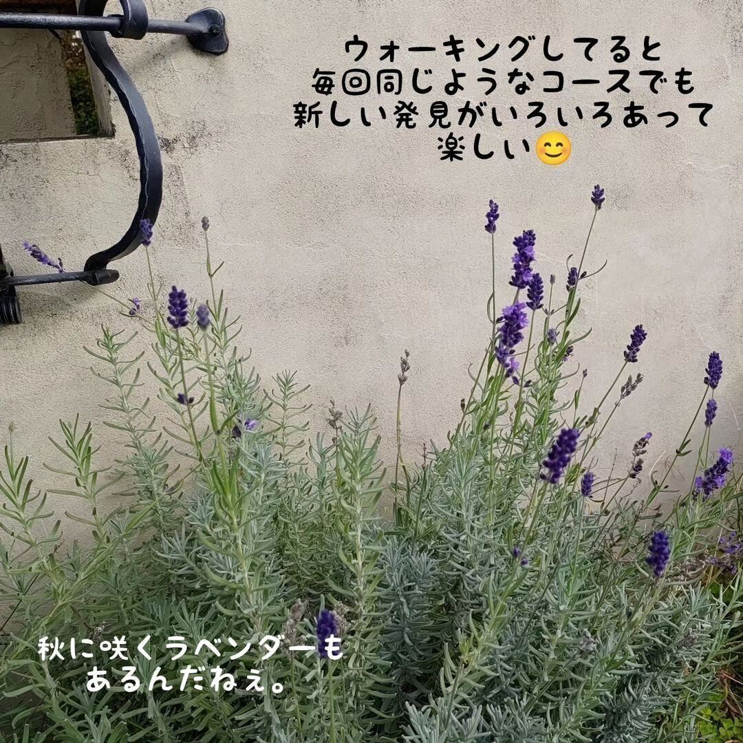 楽しくなければ続かない